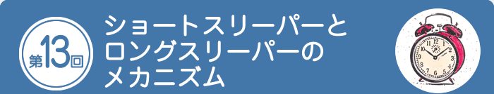 スリーパー と は ロング